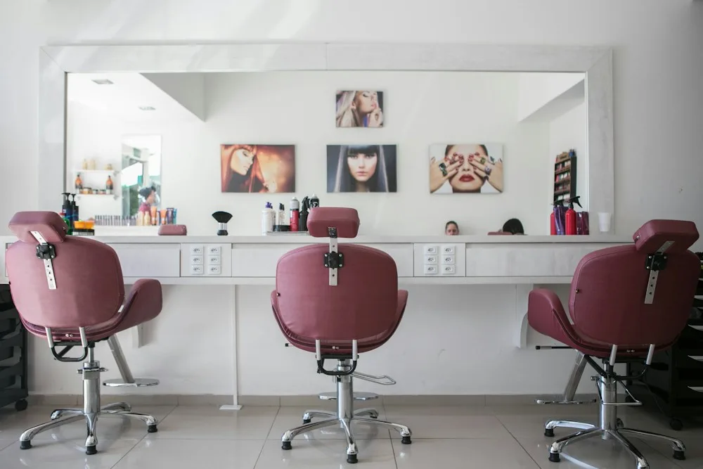 Heller Salon mit roséfarbenen Stühlen; Inspirationsfoto